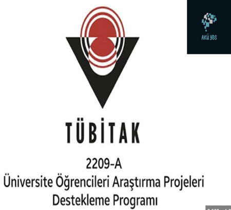 TÜBİTAK-2209 projects